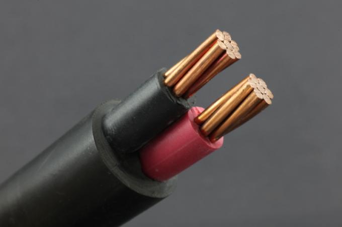 0.6 / 1kV cobre revestido PVC padrão da classe 1 do cabo do IEC 60502-1 dois núcleos isolados