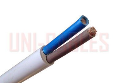 China 450 / o condutor de cobre da classe 2 do cabo bonde do PVC de 750V RVV isolou flexível revestido fornecedor